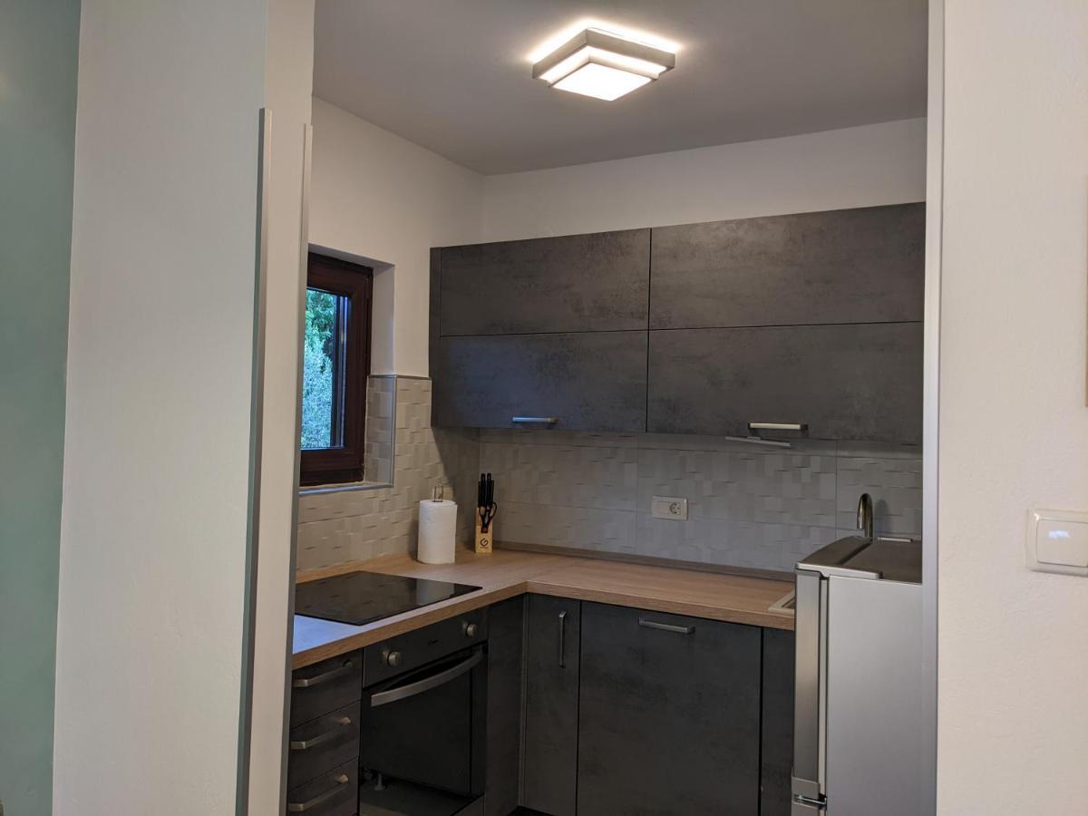 Apartment Ika باشْكا المظهر الخارجي الصورة